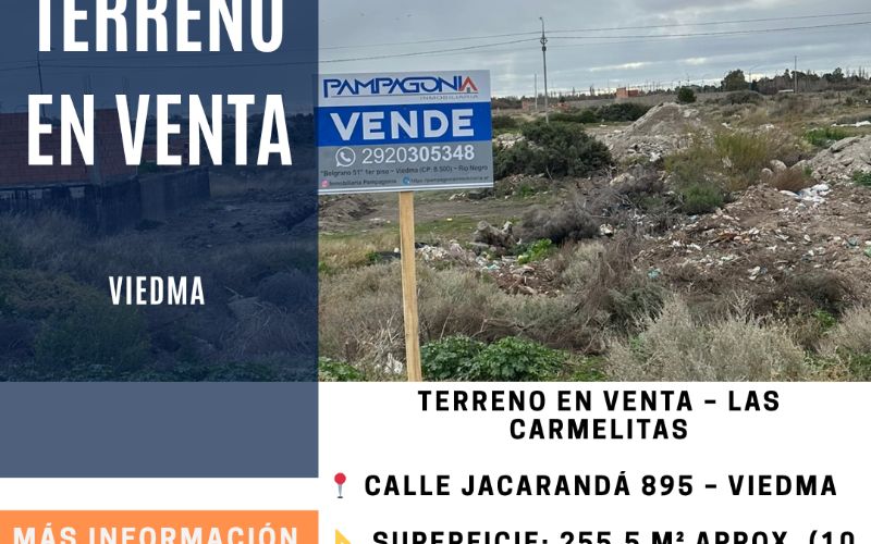 Fachada de LOTE