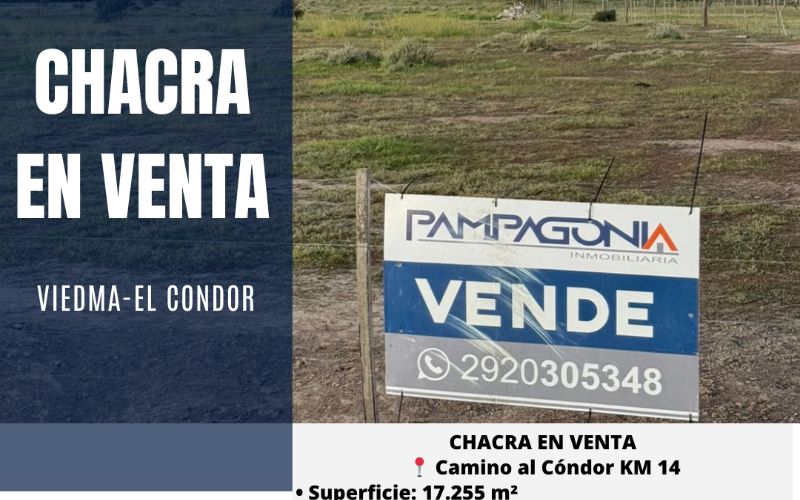 Fachada de LOTE